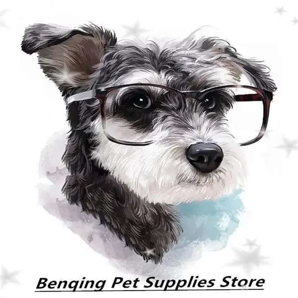 Benqing Pet Department Store Supplies Store