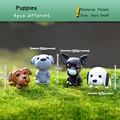 4pcs Puppies