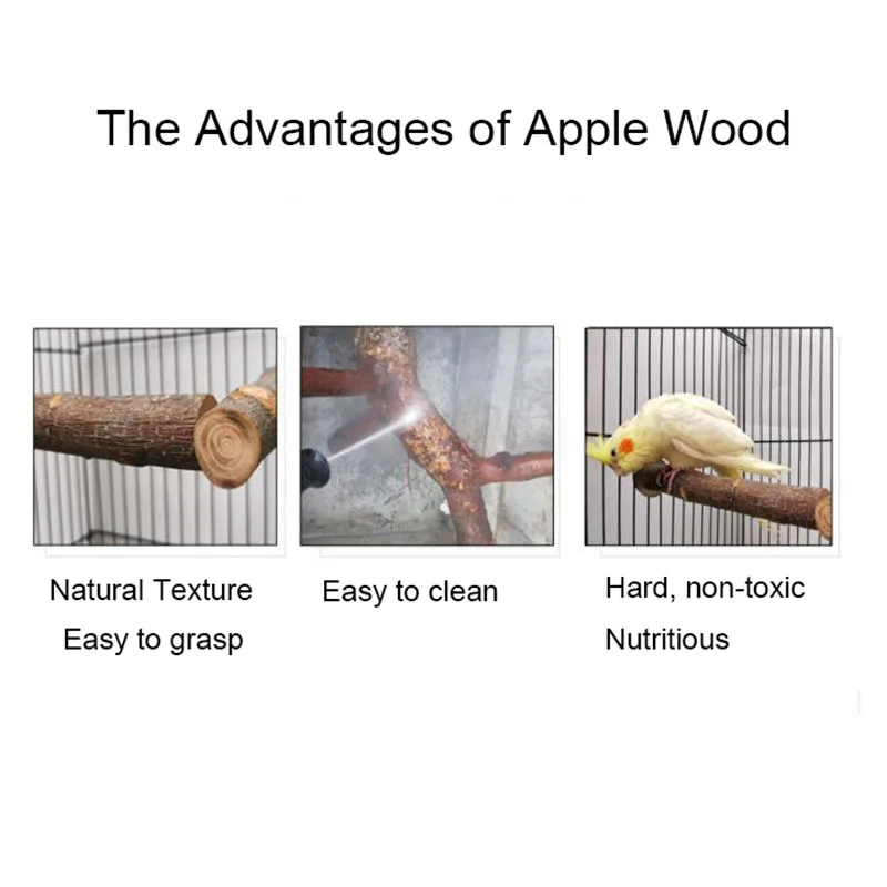 Natural Wood Pet Parrot Raw Wood Fork Tree Branch Stand Rack Squirrel Bird Hamster Branch Perches Chew Bite Toys Stick bird cage perches