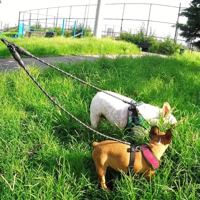 Dual Dog Leash - 360 Swivel No Tangle 6