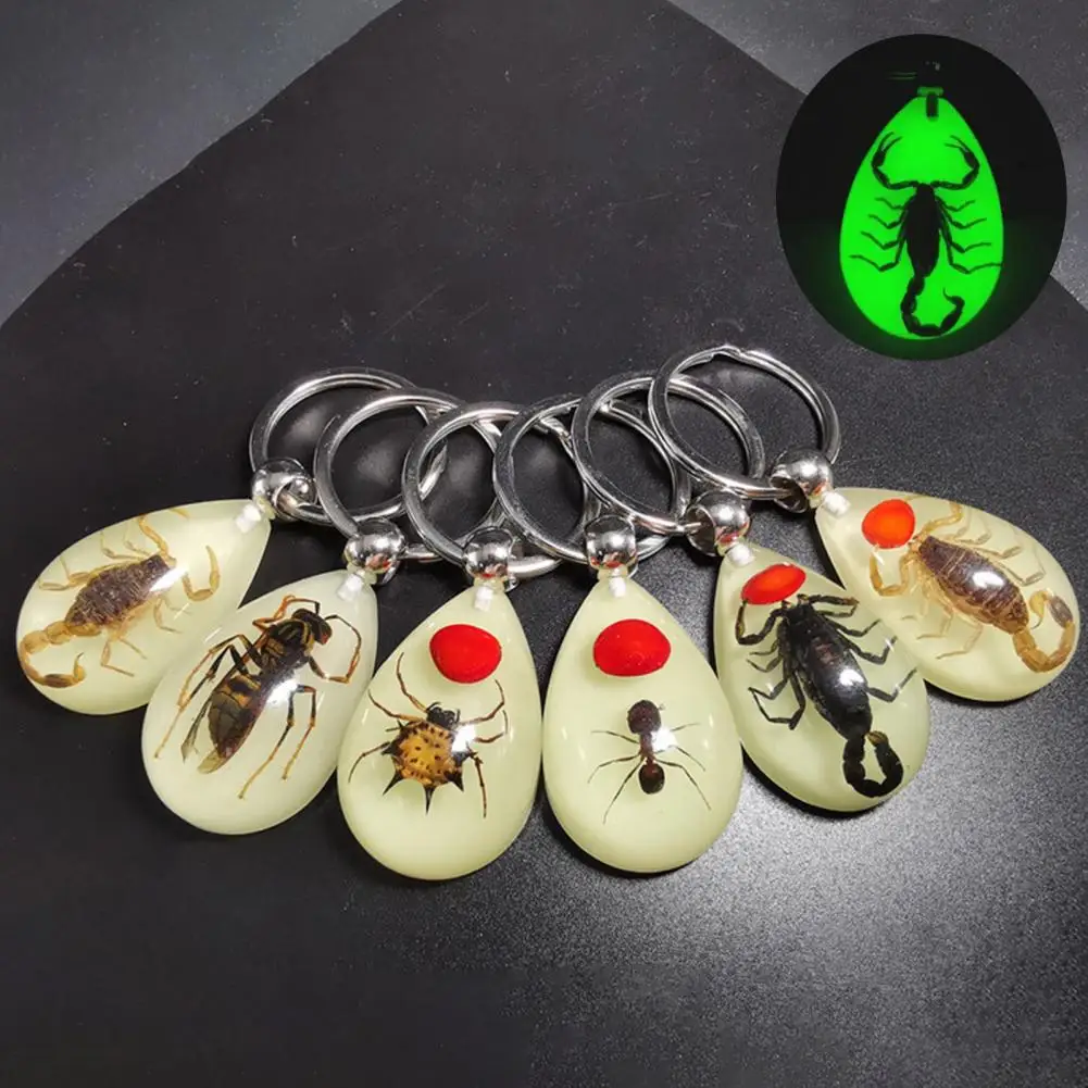 Crabes Shoous Scorpion Spiders Amber Keychain, Insect Stone, Pendant Key Ring, DIY Jewelry, Executive Kids, Birthday Gift