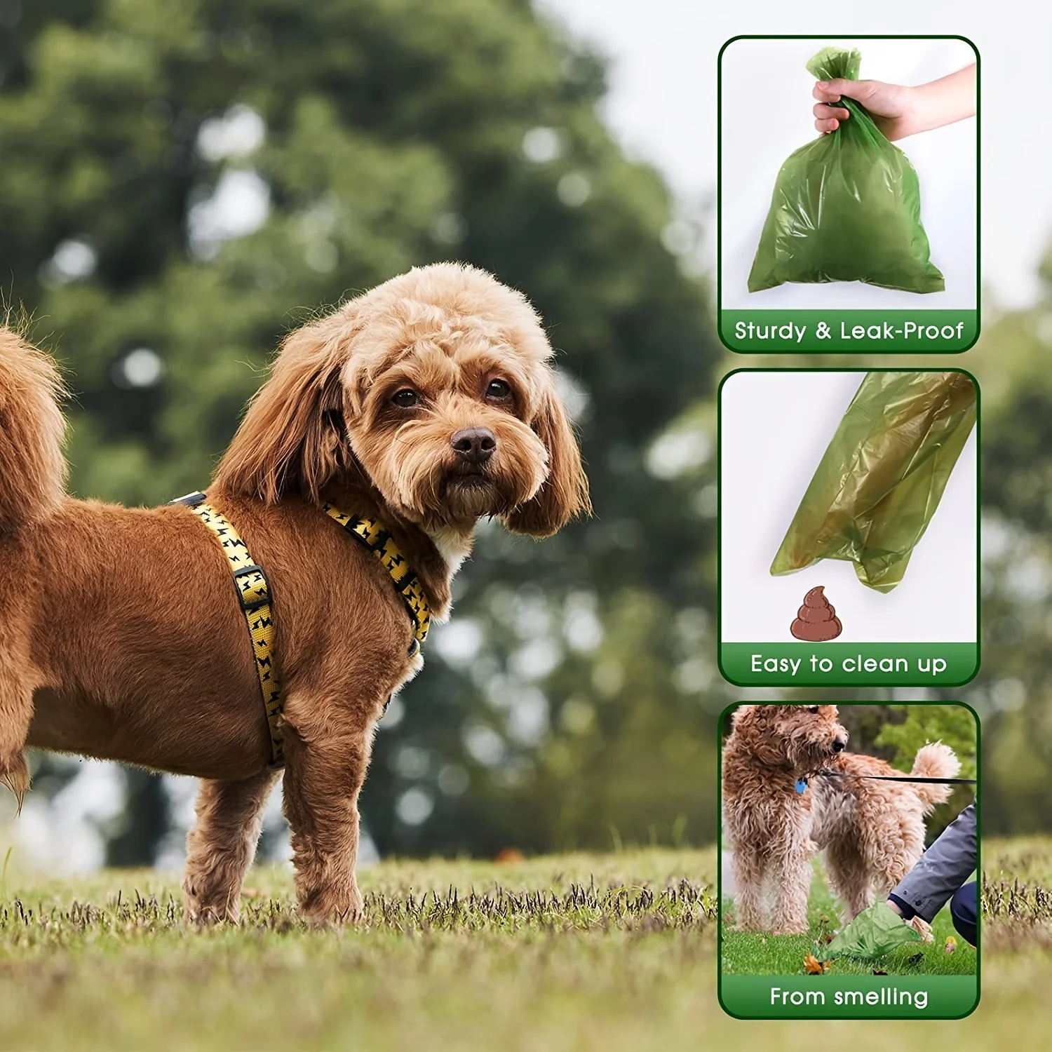 Biodegradable Dog Poop Bags 3