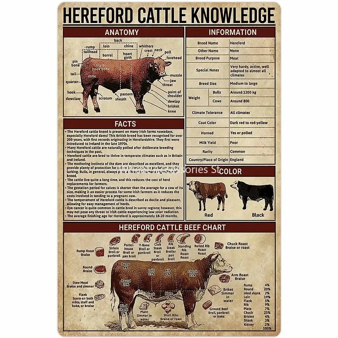 

A Metal Sign Hereford Cattle Knowledge Anatomy Tin Poster Animal Farm Club School Education Wall Decoration Plaque Vintage Decor