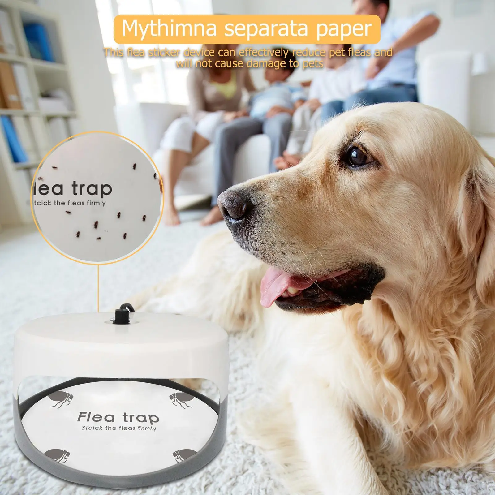 Flea Trap Refill-Family and Pet Safe 5pcs Pest Control for Home Flea Trap