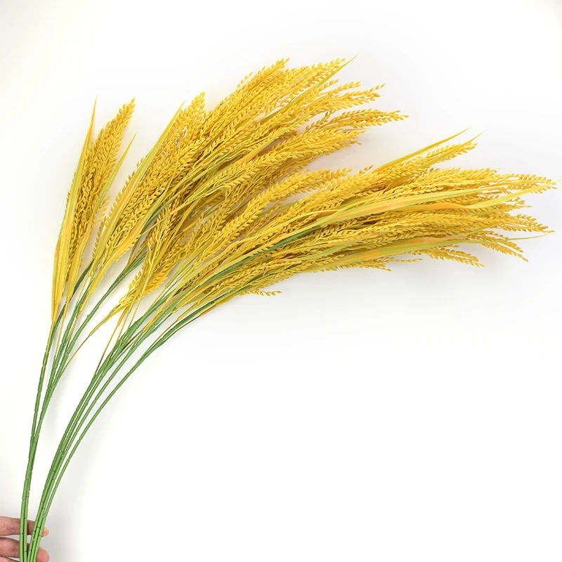 Slide image 461dd87ee5ad41cc8a10a232d47f8c91