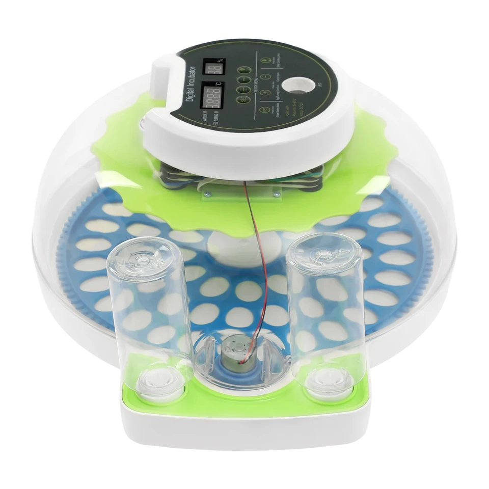 Green and Blue 60 Egg Quail Egg Incubator