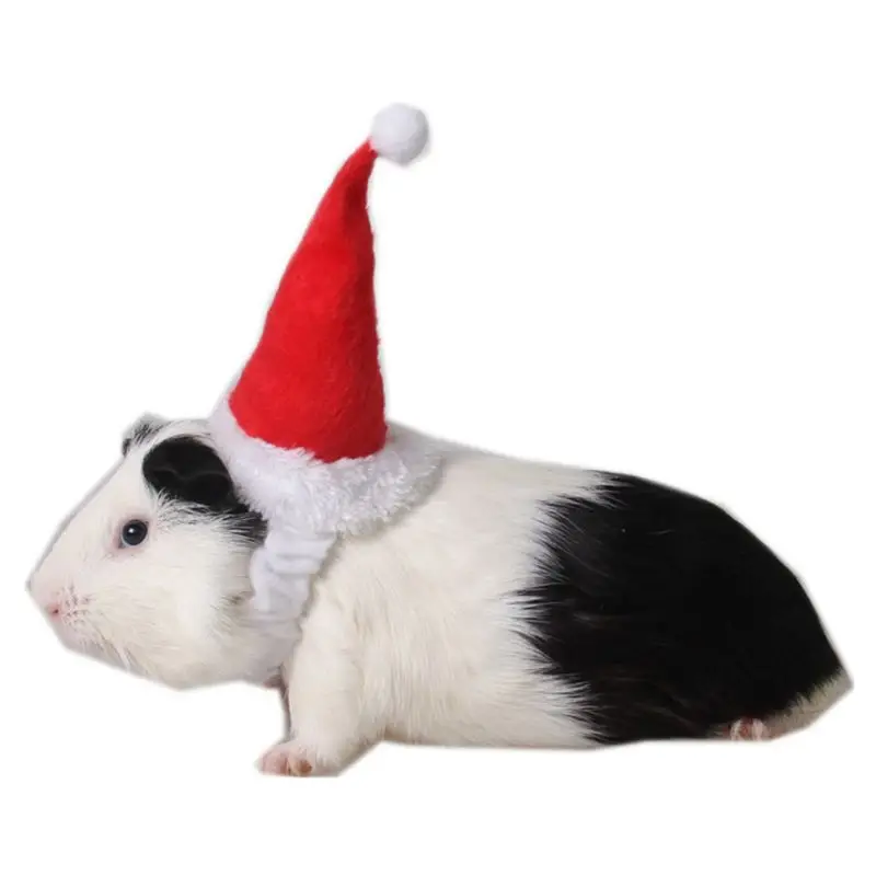 Christmas Hamster Santa Hat Costume Xmas Hat Decoration Dress Up Small Dogs Cats Hamsters Hedgehog Big Birds