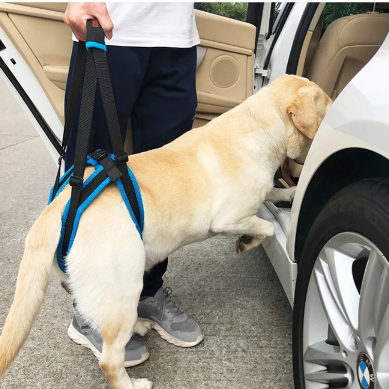 Dog Support Harness for Old Dogs with Back Legs Issues