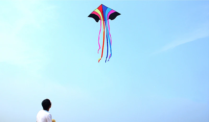 High-Quality Rainbow Eagle Kite for Kids - Durable Ripstop Nylon Fabric and Strong Line rainbow kite