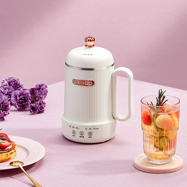 220V Electric Kettle Health Pot Portable Boiled Water Pot Travel Heating  Cup Smart Teapot Adjustable Temperature 500ml - AliExpress