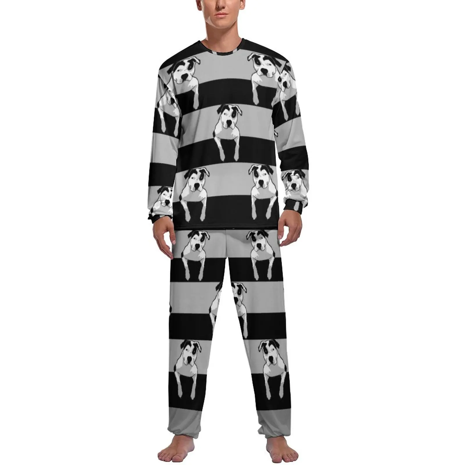 

Пижама с длинным рукавом, животное собаки, 2 предмета