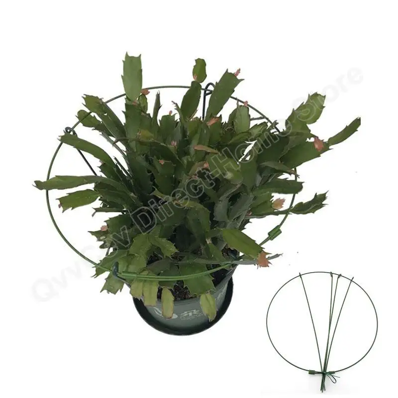 Metal Round Adjustable Garden Flower Plant Stand Support Circle Stake Ring Holder Climbing Iron Gardening Tools for Bonsai Veg metal plant stand