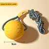 Dog Toys Pet Flying Disk Training Ring Puller Anti-Bite Floating Interactive Supplies Dog Toys Aggressive Chewing 6