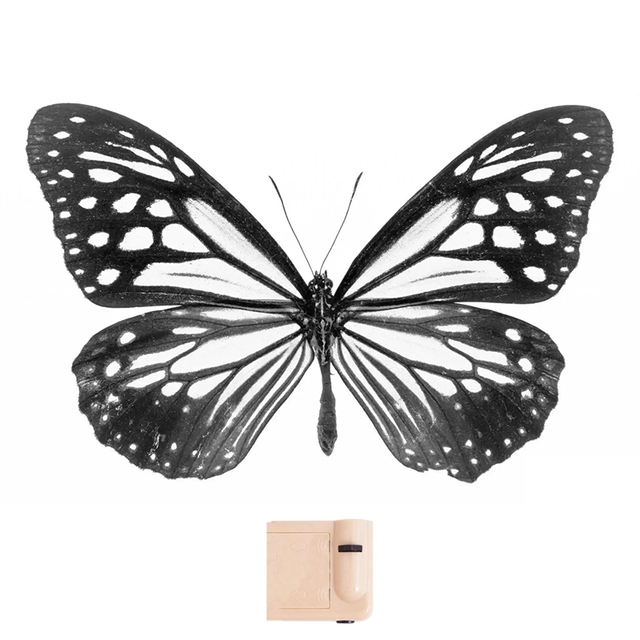 Butterfly Projection Lamp Creative Wall Background Light Photo Prop Projector Night Light for Room Birthday Party Decoration