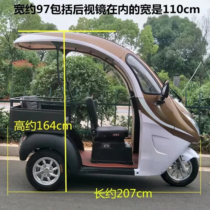 Three Wheel Electric Mini Scooter Tricycle with Roof for Adult Pink Max Black Green Silver Body Motor Acid Power Battery 6
