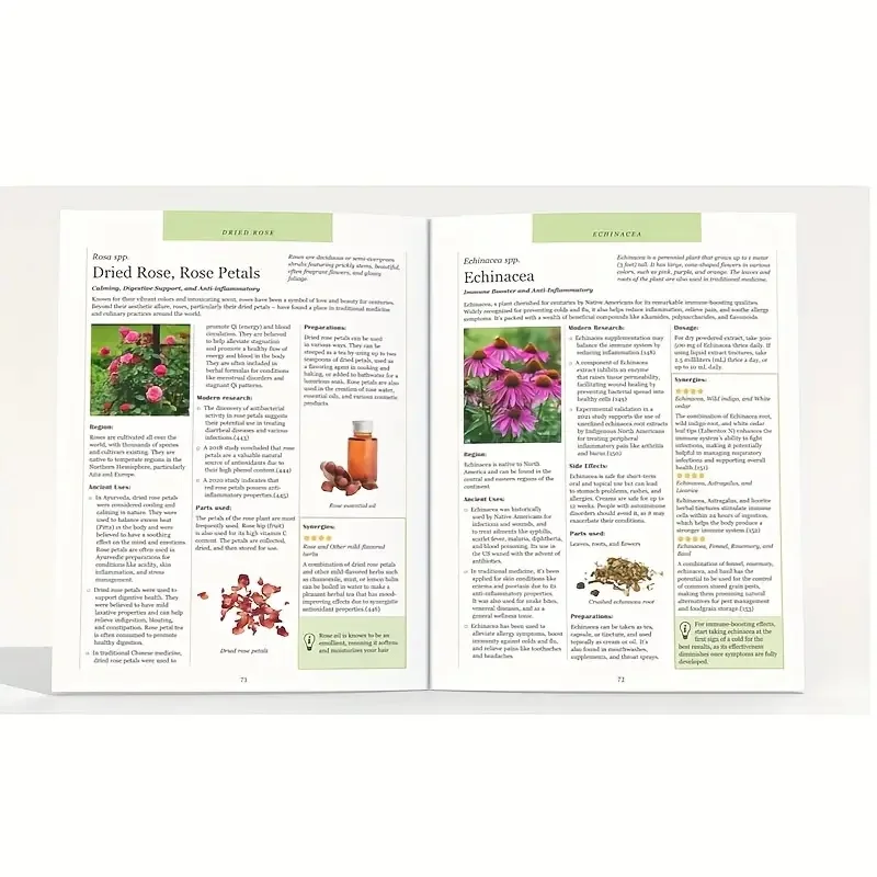 🌿 The Natural Healing Handbook – Herbal Medicine & Holistic Health for the Soulful Seeker 6