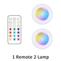 1 remote 2 lamp