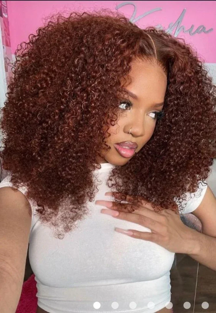 250% Density Brown 4x4 Lace Front Wig Afro Kinky Curly Thick Human Hair Wigs For Women Pre-Plucked Transparent Lace Bobbi human hair wig lace front wigs