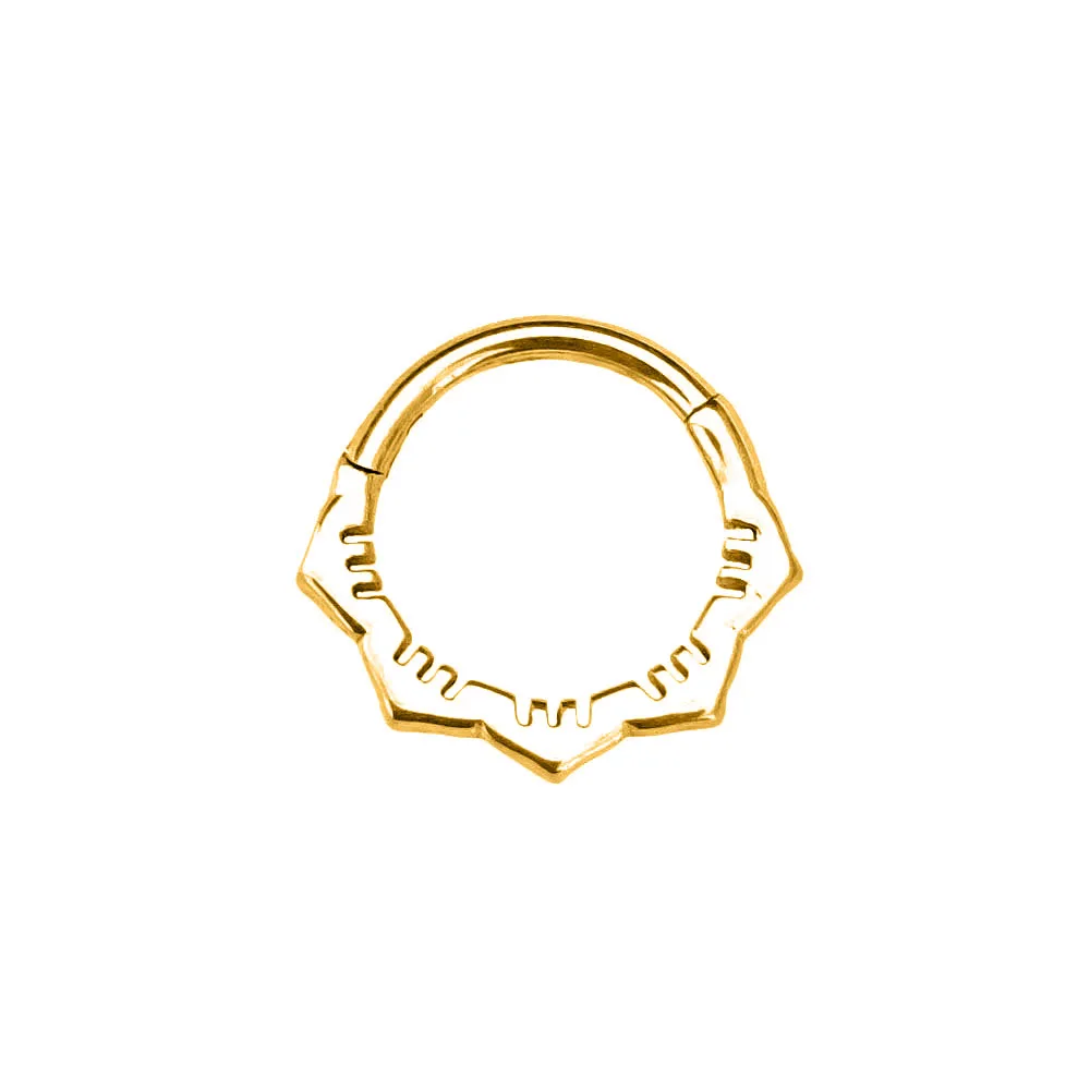 Flower Moon Heart Tush Teardrop Septum Piercing Drop Clicker Segment Nose Ring Daith Conch Hoop Earring 316L Surgical Steel 16G