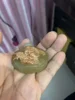 Rare Qing Dynasty  CHINESE Old He tian jade caved SNUFF BOTTLE 4