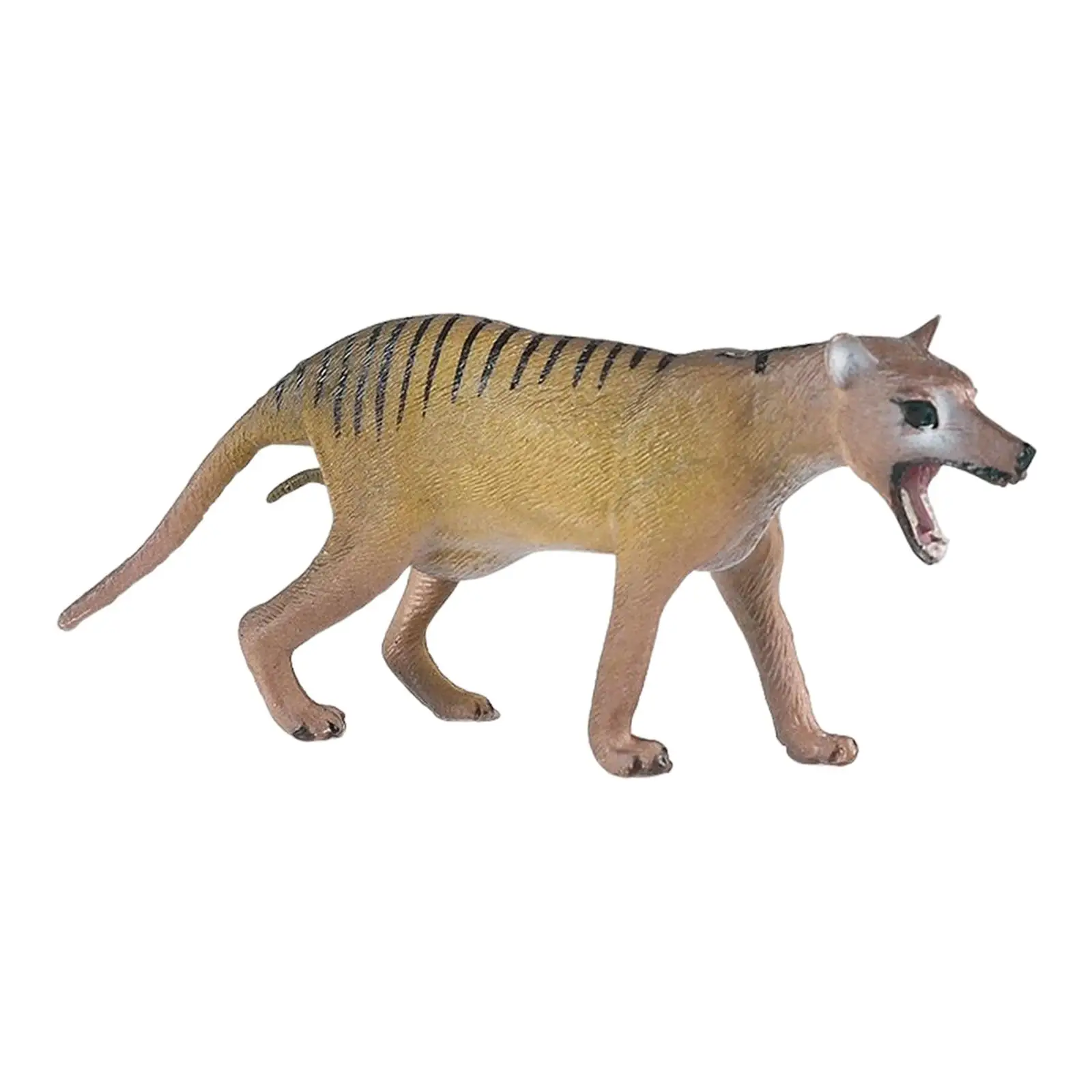 

Ручная роспись мини Thylacine фигурки Модель настольные украшения вечерние пользу
