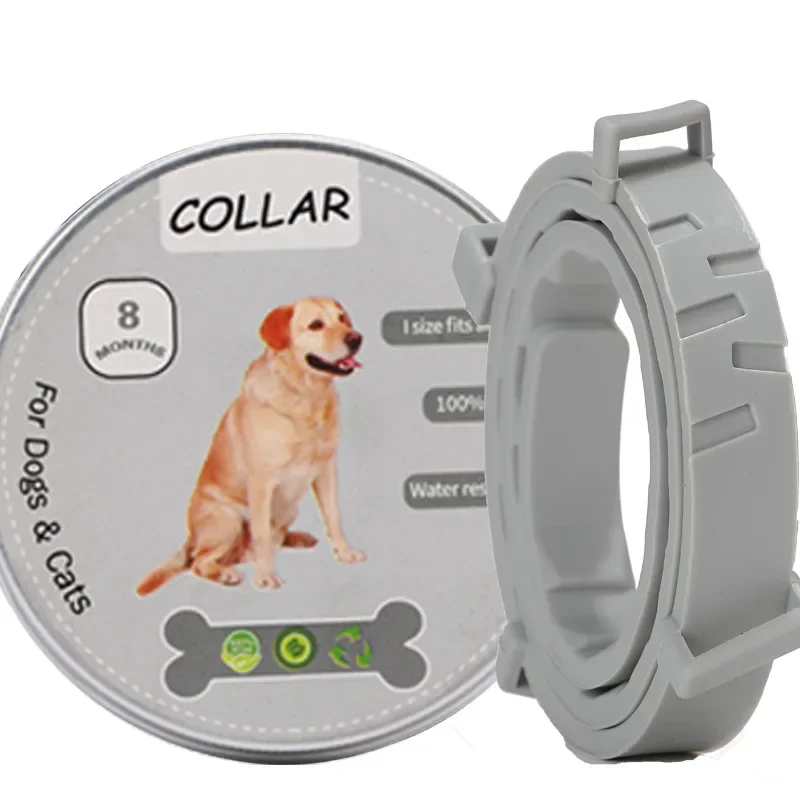 Grey Box-Dog 70cm