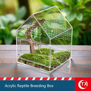 Acrylic Reptile House Enclosure 1