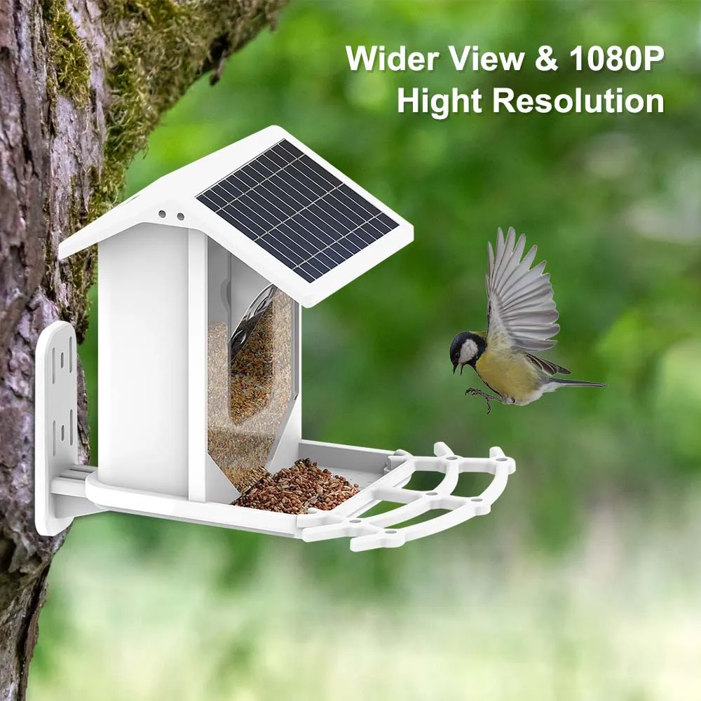 Netvue Birdfy - Caméra de Mangeoire Oiseaux Exterieur, Caméra d'oiseaux, AI  Reconnaissance des Espèces d'Oiseau, Caméra WiFi à Batterie, Capture des  Images/Vidéos (Birdfy Feeder)