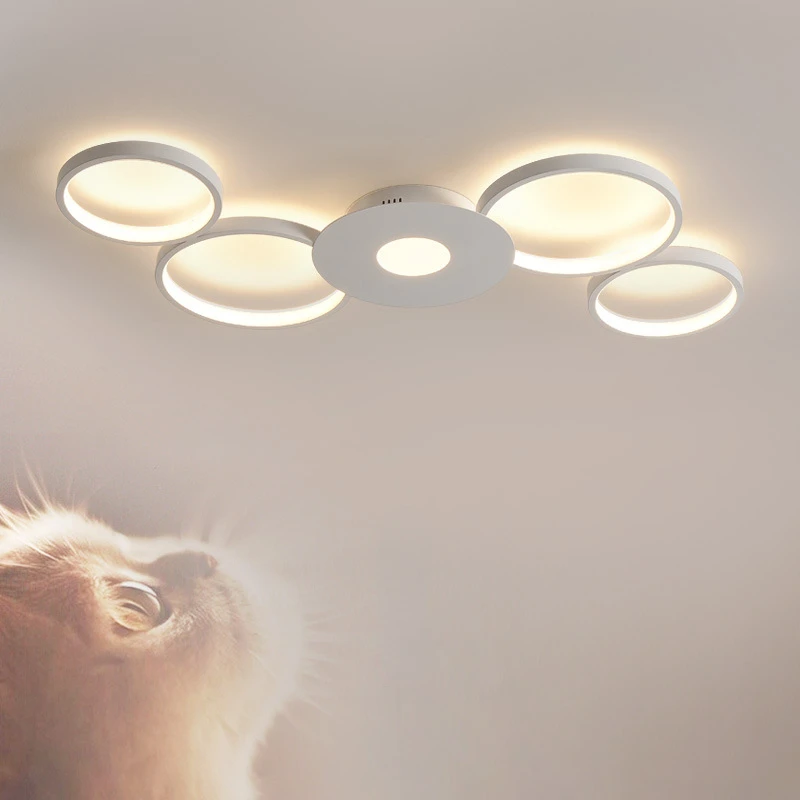 

New Creative Ceiling Light Led Simple Modern Bedroom Light Minimalist Small Living Room Light High-end Aluminum Dining Room