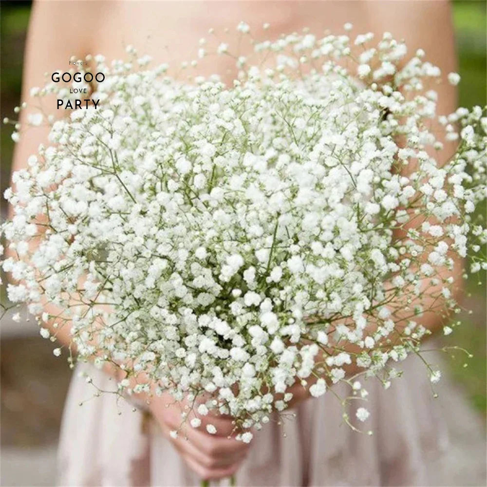 Baby's Breath Gypsophila Tinted -  Flowers - Proms & Weddings