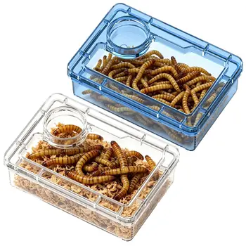 Ciotola Anti-Fuga per Rettili con Scomparto per Polvere di Calcio, Alimentatore per Lucertole, Gechi, Vermi, Camaleonti e Rane