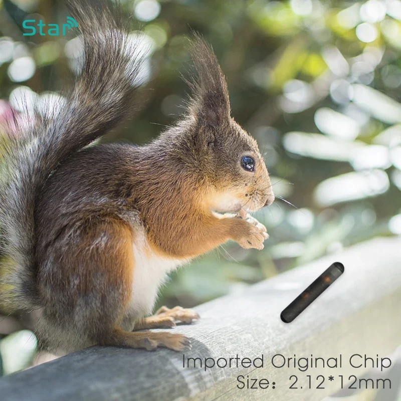 Microchip para perros y gatos, jeringa para implante de microchip animal, aguja para chip de mascota, inyector RFID veterinario