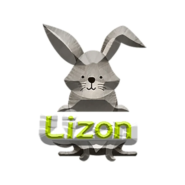 Lizon Store