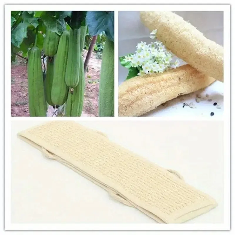 Exfoliating Body Scrubber 6