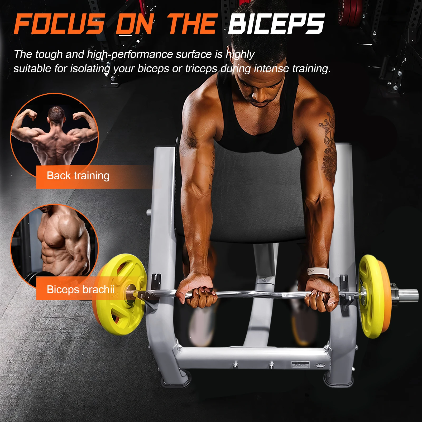 Adjustable Seated Biceps Station for Home Training - Image 3