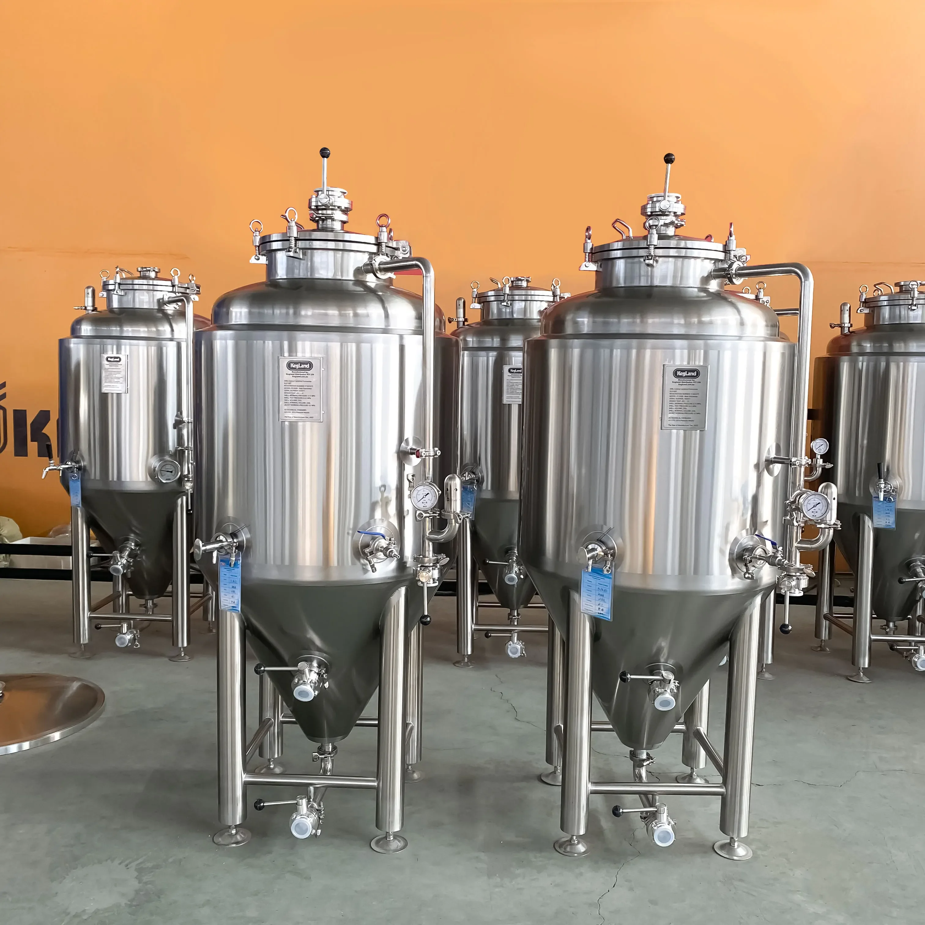 100L/200L/300L Stainless Steel Brewing Fermenter for Small Brewery Equipment Brewing Equipment