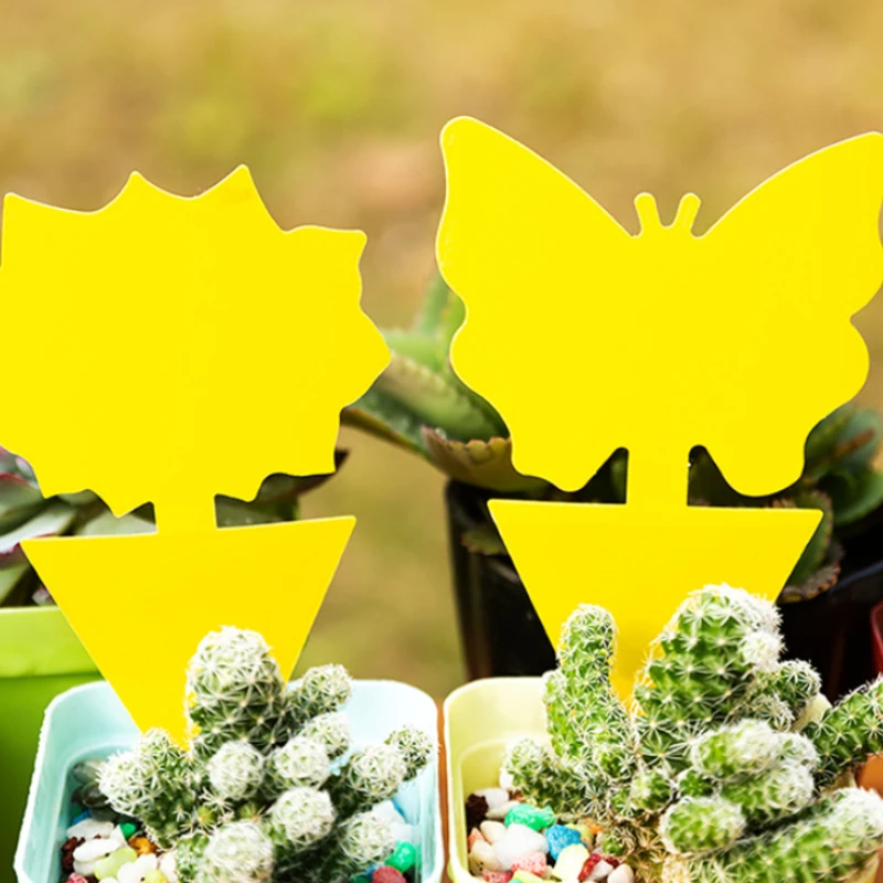 5pcs Sticky Traps Home Greenhouse Sticky Board Multiple Flying Insect Catching Control Sticker Pot Pest Sticker Double-sided
