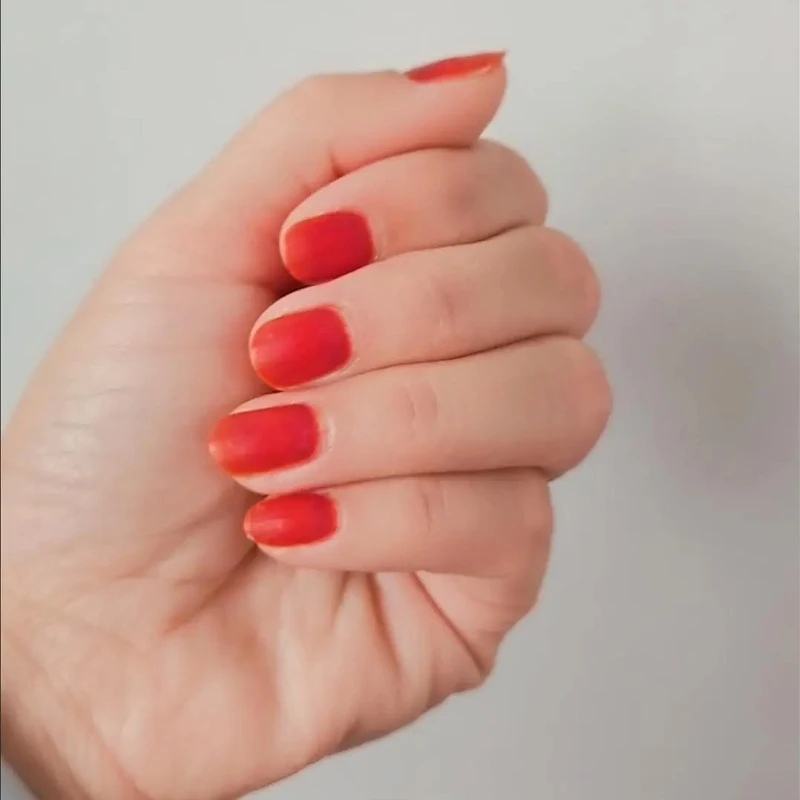 순수 천연 식물 인도 헤나 DIY 네일 염색 레드 네일 아트 천연 색상 광택 20g/병