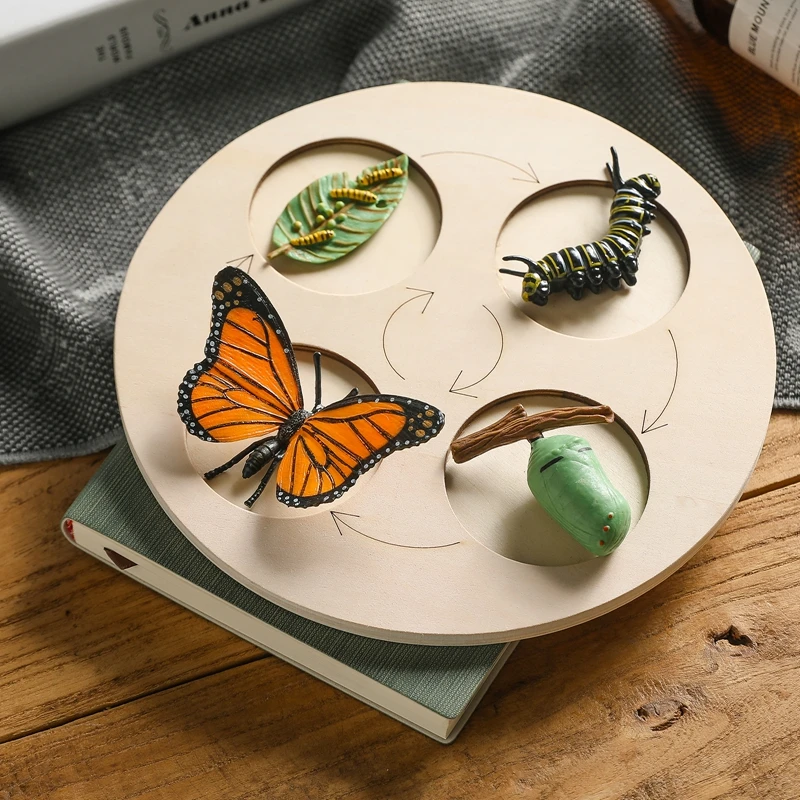 

Montessori Insect Growth Cycle Educational Toys Biocognitive Toys Children Learning Natural Cognition Wooden Board Animal Toys