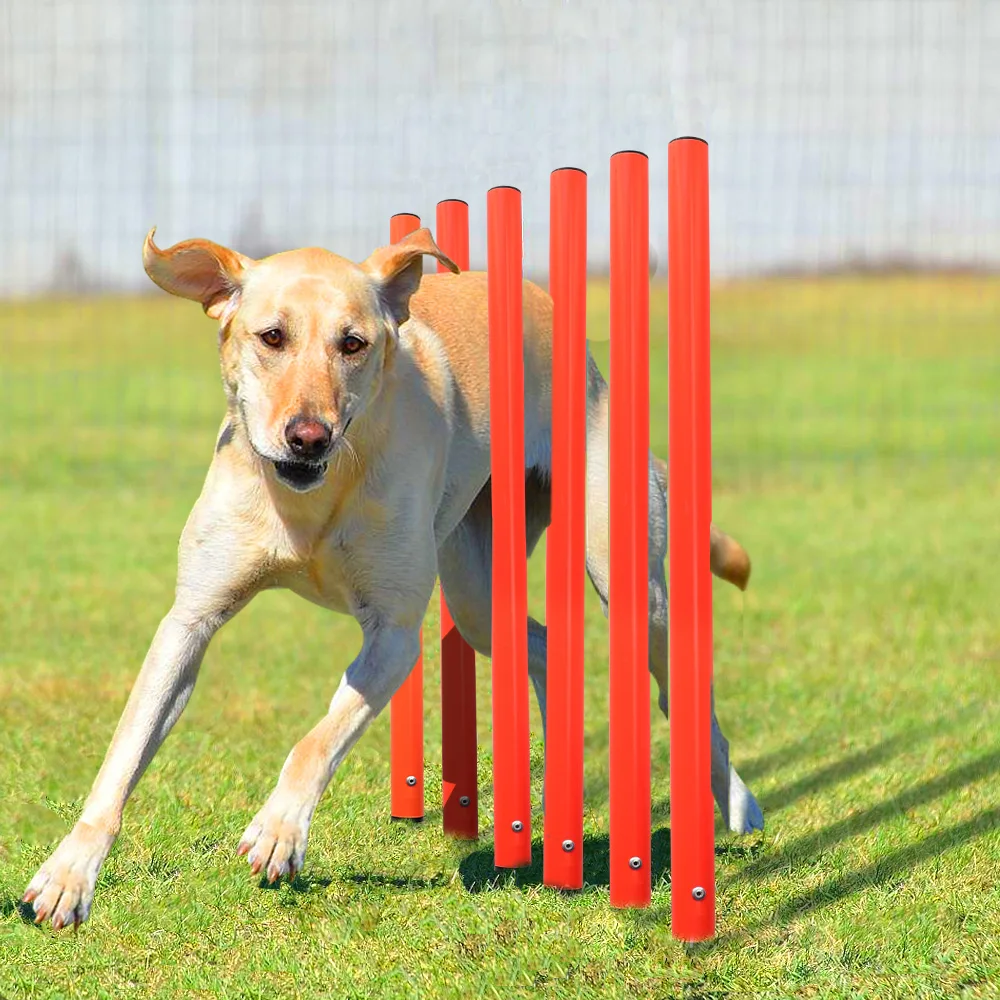 Dog Agility Training Equipment Outdoor Portable Dog Obstacle Training Set Dogs Jumping Running Stake Sports Stakes Pole Supplies