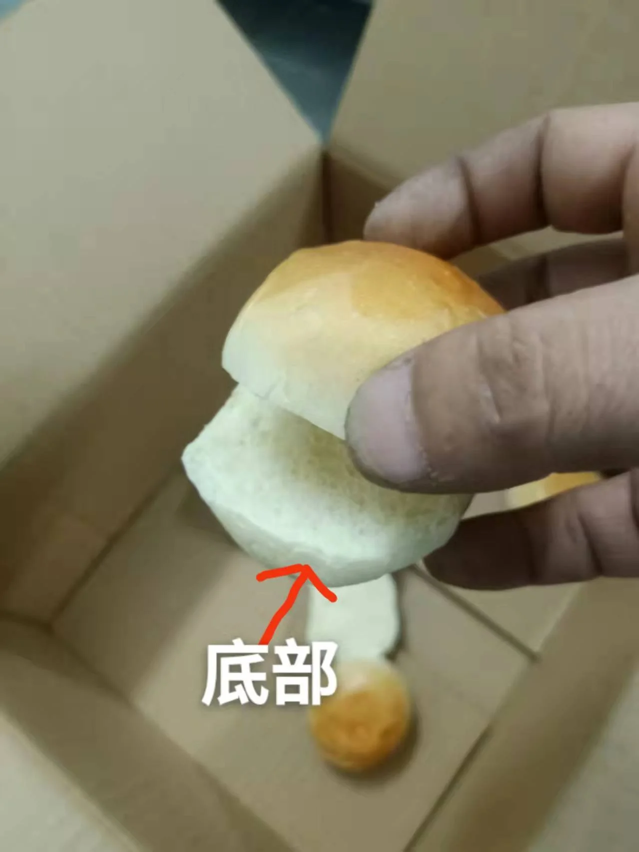 hot dog slicer burger buns dough divider rounder bun slicer