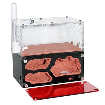Acrylic Ant Farm Kit 1
