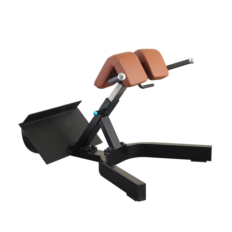 High Quality Gym Fitness Equipment Commercial Roman Chair Preacher Curl Weight Bench Press Back Extension