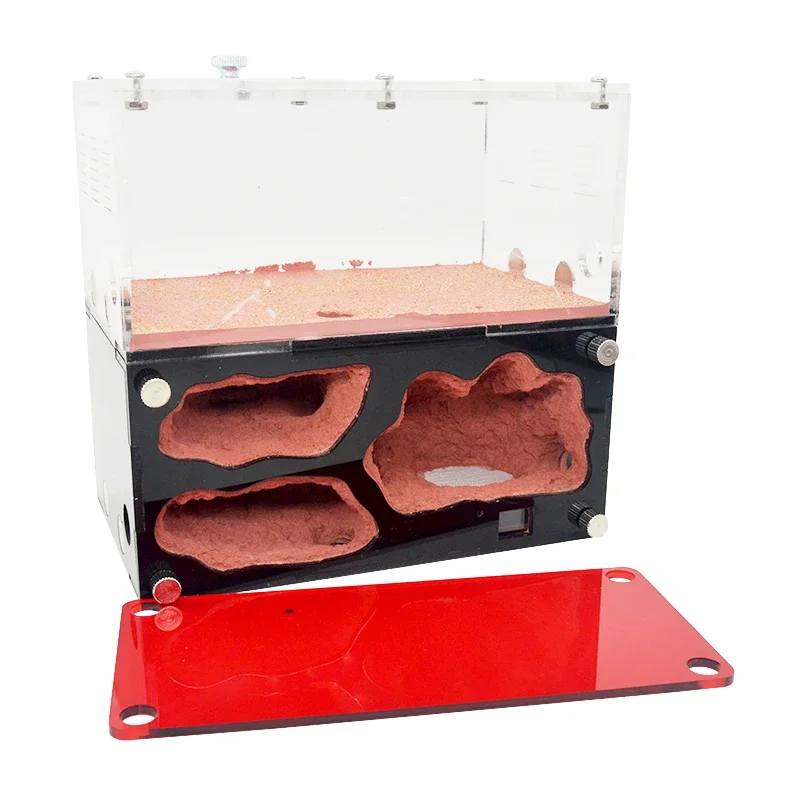 Intelligent Temperature Ant Farm Unlimited Connection Ant Nest with ...