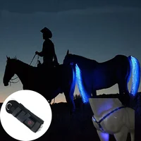 100 CM Long LED Horse Riding Tails Decoration Luminous Tubes Horses Riding Equestrian Saddle Halters Horse Care Products 1