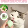 Wall Mounted Catnip Ball 6