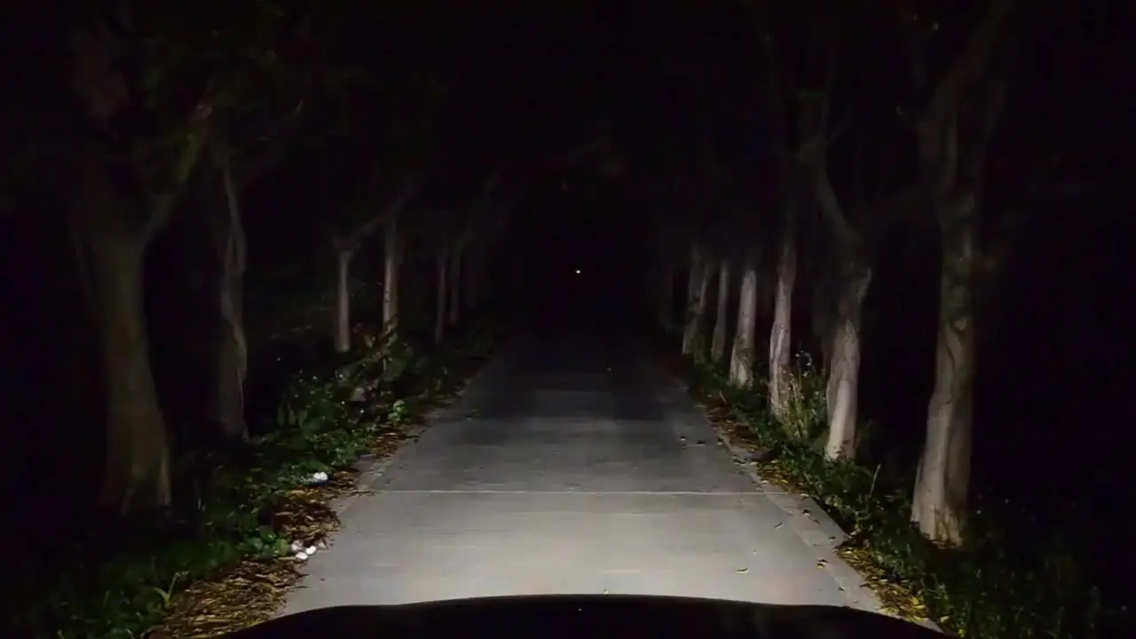D2S D4S Светодиодная лампа для автомобильных фар HID 1:1 Оригинальная автомобильная ксеноновая лампа Canbus D2R D4R Ксеноновая лампа Автомобильный светильник Мотоциклетная вилка 12 В