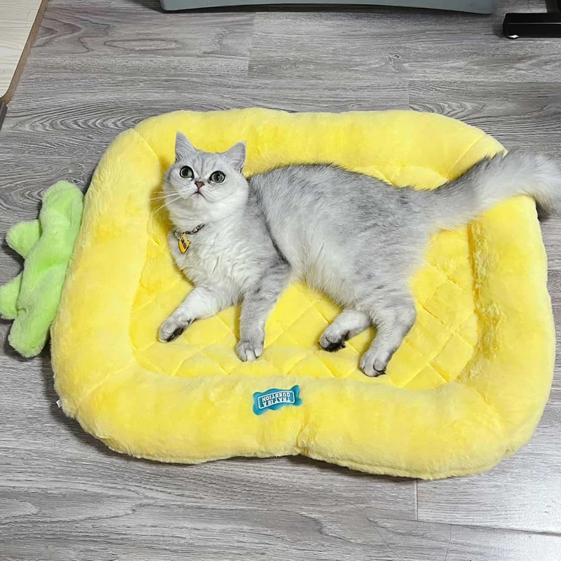 

1 Pcs 2022 New Cat Mat Polyester Cotton Plush Fashion Cute Pineapple Shape Soft And Comfortable Household Pet Supplies SSJ630