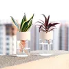 Small Hydroponic Green Plant Vase Home Vase Decor Transparent Imitation Glass Soilless Plant Pots Pot for Home Decoration 1