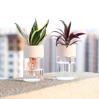 Small Hydroponic Green Plant Vase Home Vase Decor Transparent Imitation Glass Soilless Plant Pots Pot for Home Decoration 1
